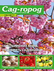 Сад - город