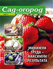 ОСОБИСТА ДРАМА. ЖІНОЧЕ ЩАСТЯ