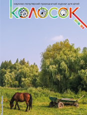 Колосок Колосок